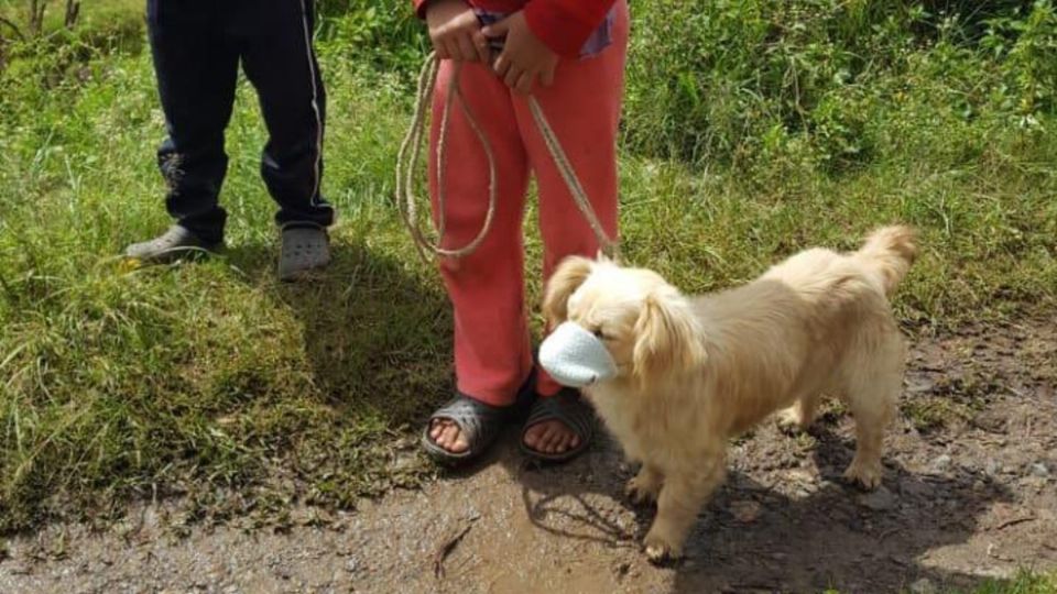 Esta tierna imagen fue dada a conocer por el Ministerio de Salud Pública y Asistencia Social de Guatemala. Foto: Especial