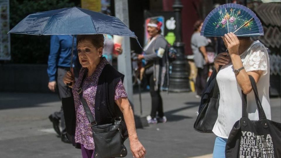 Imagen de día sin heladas en Hidalgo. Foto: Cuartoscuro
