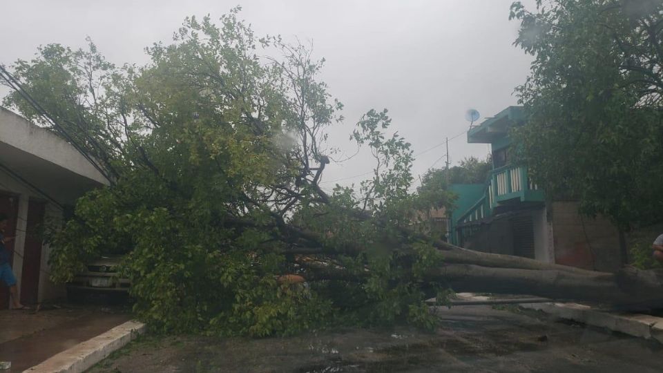 El municipio reportó calles inundadas, árboles tirados y la mayoría de las viviendas no cuenta con energía eléctrica. Foto: Especial