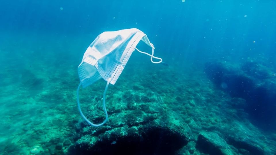 Los cubrebocas son capaces de salvar vidas, sin embargo, muchos de ellos terminan como desechos en los mares donde ponen en peligro a la fauna marina. FOTO: ESPECIAL