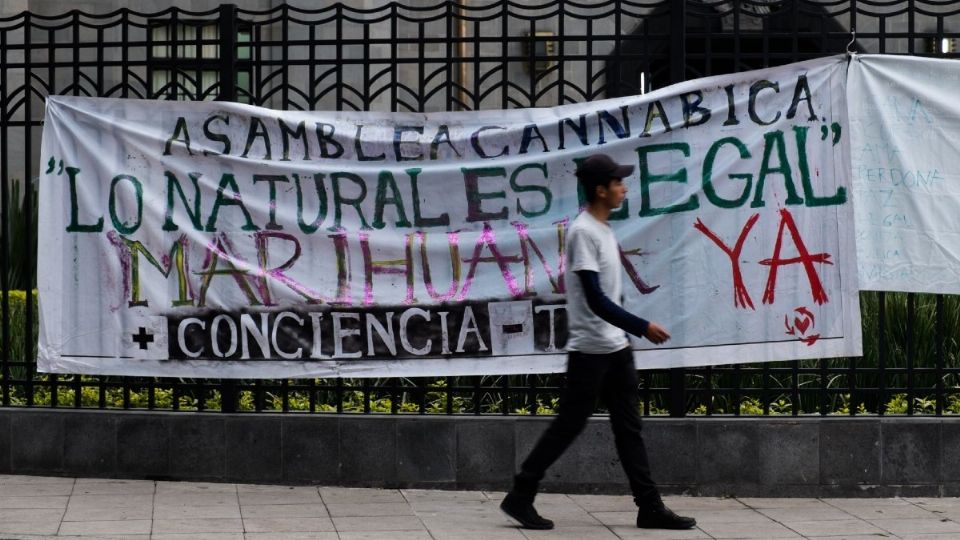 La Asamblea Cannábica + Conciencia - T.V. se manifestará en la Glorieta de Chilpancingo, Col. Hipódromo Condesa, a las 12:00 horas. Foto: Cuartoscuro