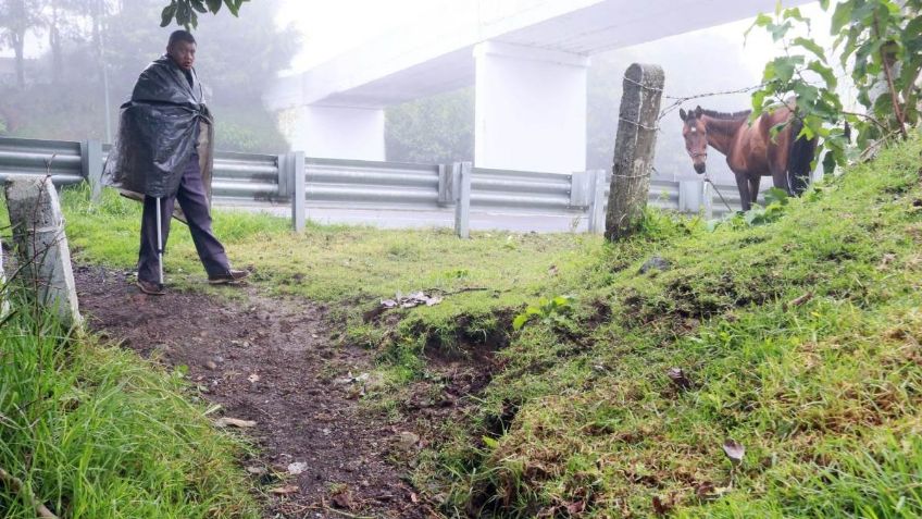 Clima en México: Tormenta Tropical "Gamma" golpea duro al sureste este 5 de octubre