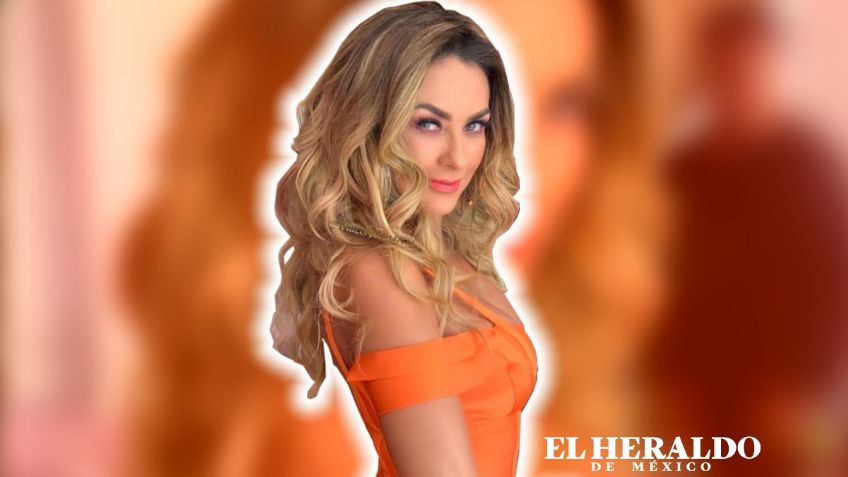 Aracely Arámbula regresaría a Televisa con esta telenovela y sin hablar de Luis Miguel