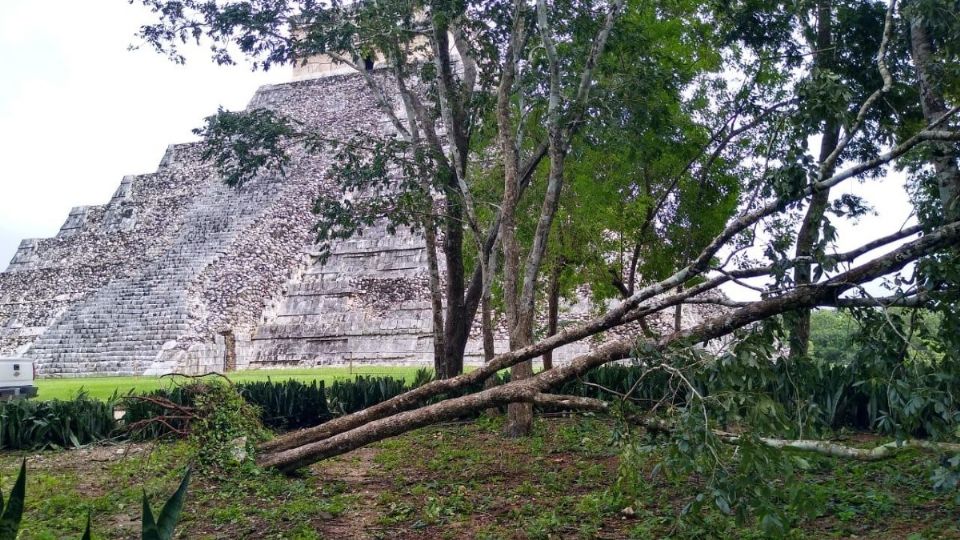 Las constantes e intensas lluvias y vientos ocasionaron la caída de árboles y ramas en los senderos que llevan a la zona arqueológica. Foto: Especial