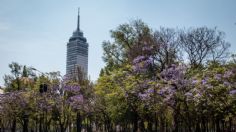 Torre Latino reabre sus puertas a la nueva normalidad y así serán las visitas