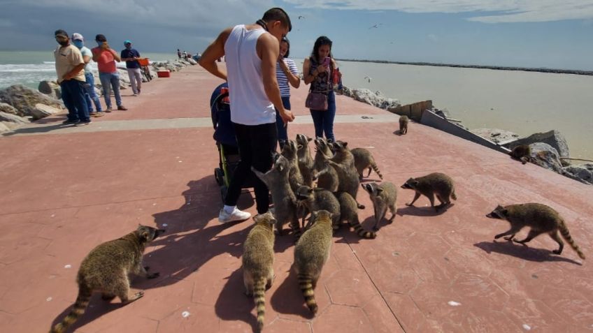 Aplazan reapertura de la playa mas importante de Tamaulipas