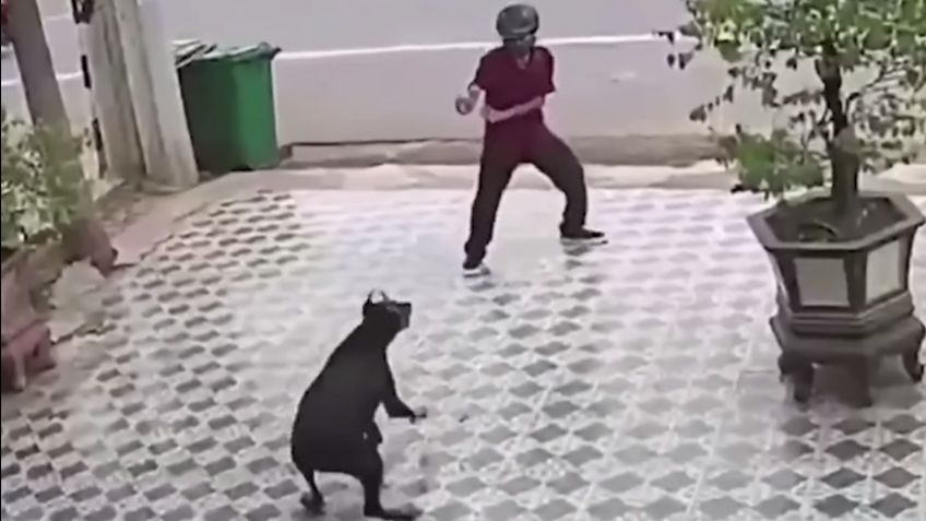 VIDEO VIRAL: Como Karate Kid hombre evita ataque de perro al estilo Daniel Larusso