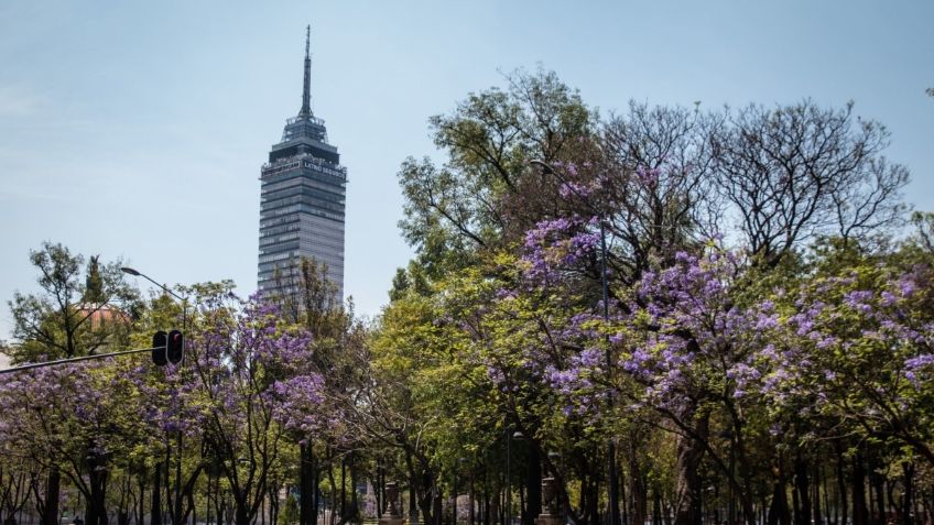 Torre Latino reabre sus puertas a la nueva normalidad y así serán las visitas