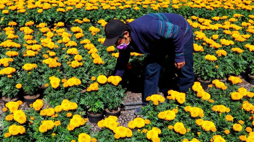 Panteones de las alcaldías de la CDMX deberán someterse a las mismas normas