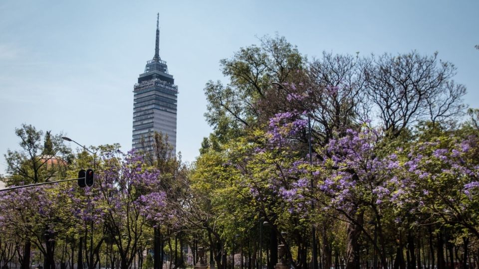 La Torre Latinoamericana ya recibe algunos turistas. Foto: Cuartoscuro