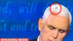 Mosca en el cabello de Mike Pence y otros memes del debate contra Kamala Harris