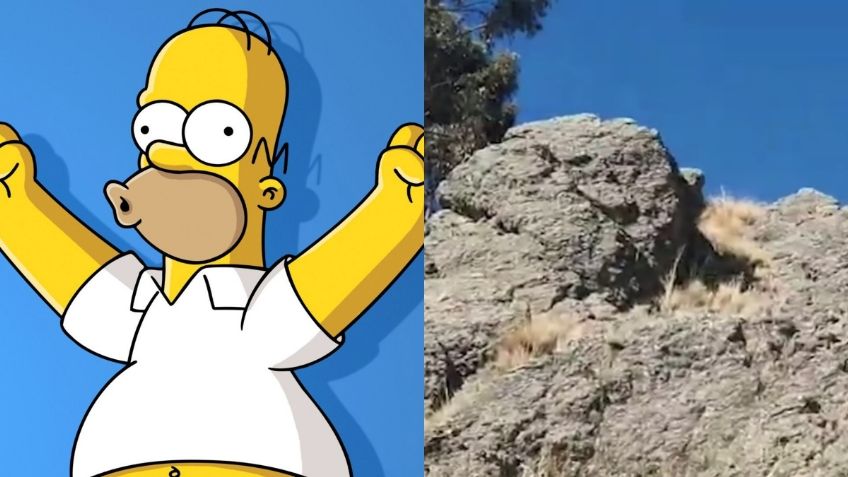 Roca que se parece a Homero Simpson causa sensación en Bolivia