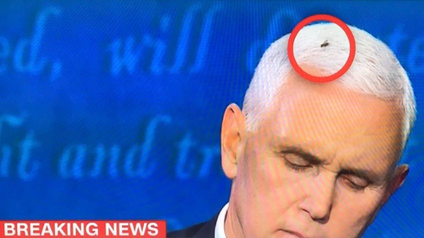 Mosca en el cabello de Mike Pence y otros memes del debate contra Kamala Harris