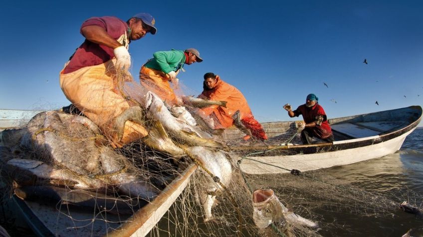 Entregan permisos de pesca para Ensenada, Baja California