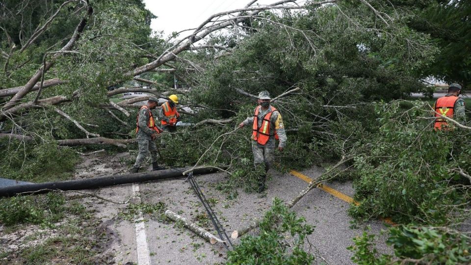 Hubo caídas de estructuras en, por ejemplo, agencias de autos y gasolineras, pero sin daños mayores Foto: Cuartoscuro