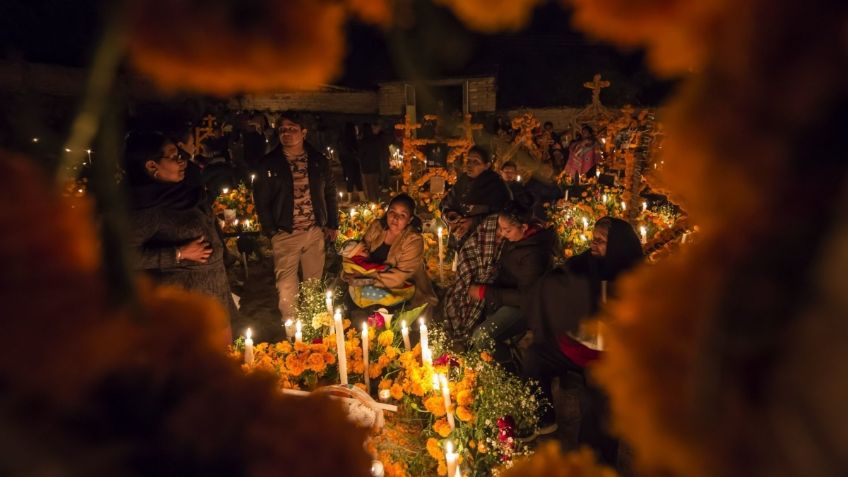 Flor de CEMPASÚCHIL, ¿cuál es su significado en las ofrendas del Día de Muertos?