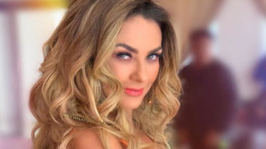 MasterChef Latino: Estas FOTOS comprueban que Aracely Arámbula es la conductora perfecta del reality