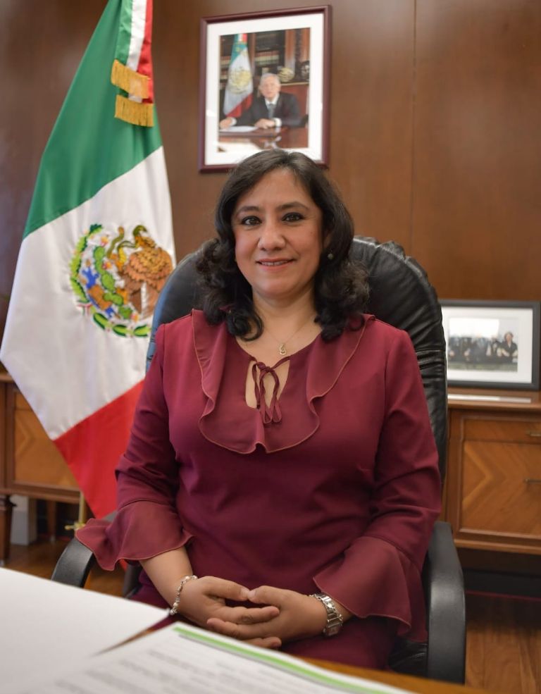 Irma Eréndira Sandoval Preside Reunión Nacional De Contralores De México El Heraldo De México 8432