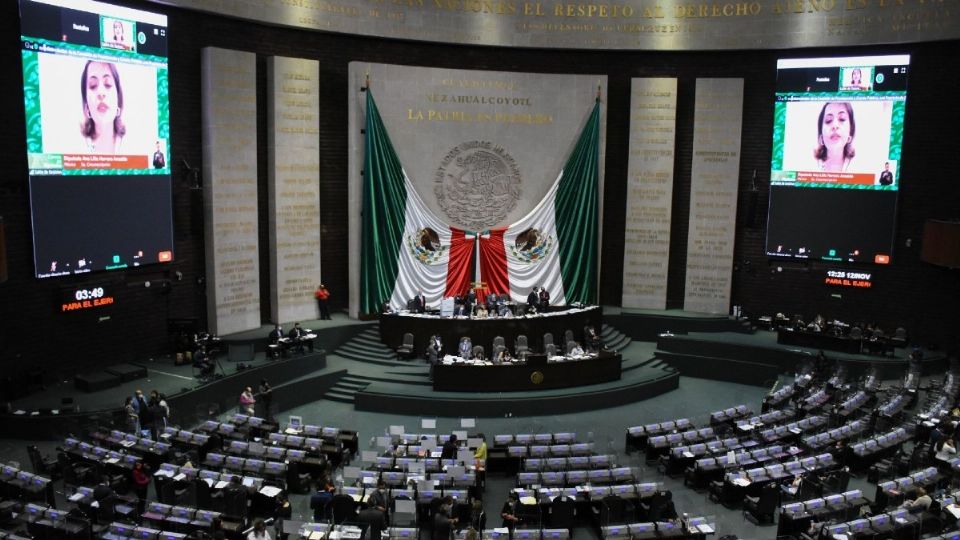 Los diputados discutirán lo que pasará en el sector