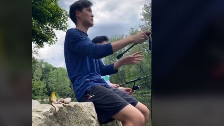 VIDEO VIRAL: Captan a rana sentada y pescando con mini caña; es la sensación en TikTok