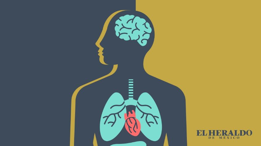 ¿Diabetes? Estas son las afectaciones de esta TERRIBLE enfermedad a largo plazo