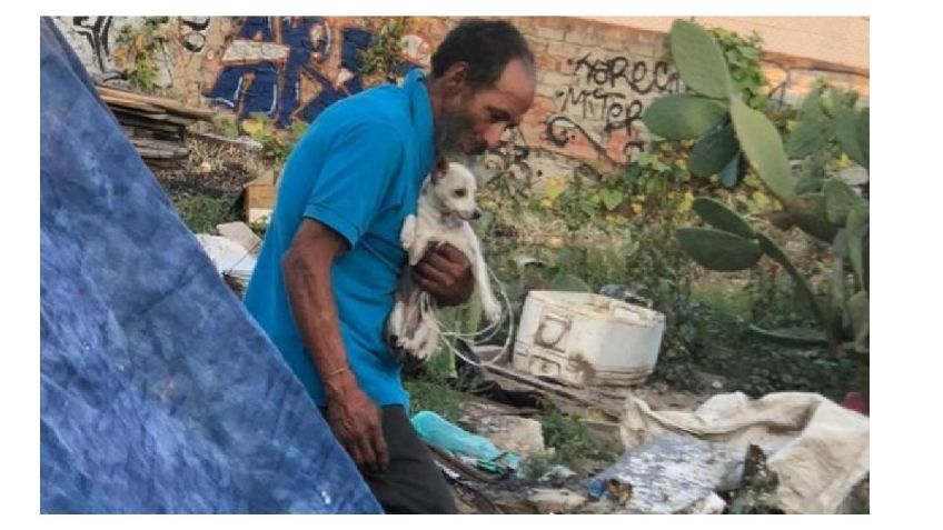 ¡Indignante! Donan comida envenenada a abuelito que cuidaba a perros de la calle: VIDEO