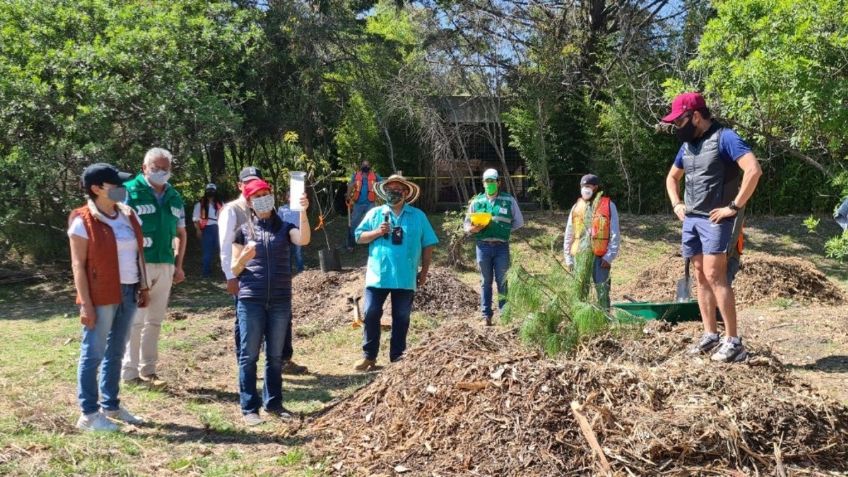 CDMX invierte 31 mdp en restauración ambiental de 3era Sección de Bosque de Chapultepec