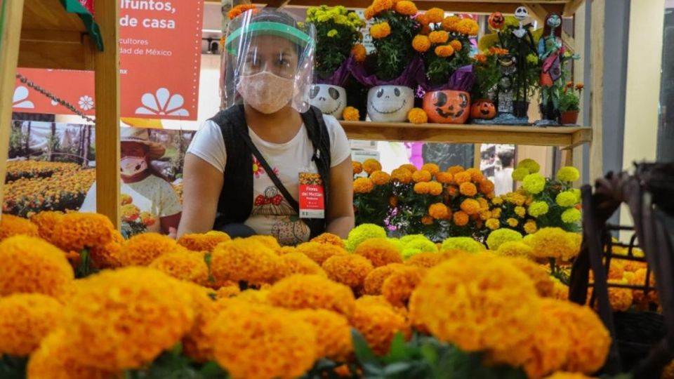 La iniciativa incluyó la apertura de una ruta agroturística para que familias acudieran a comprar cempasúchil y otras plantas ornamentales en los más de 100 viveros.