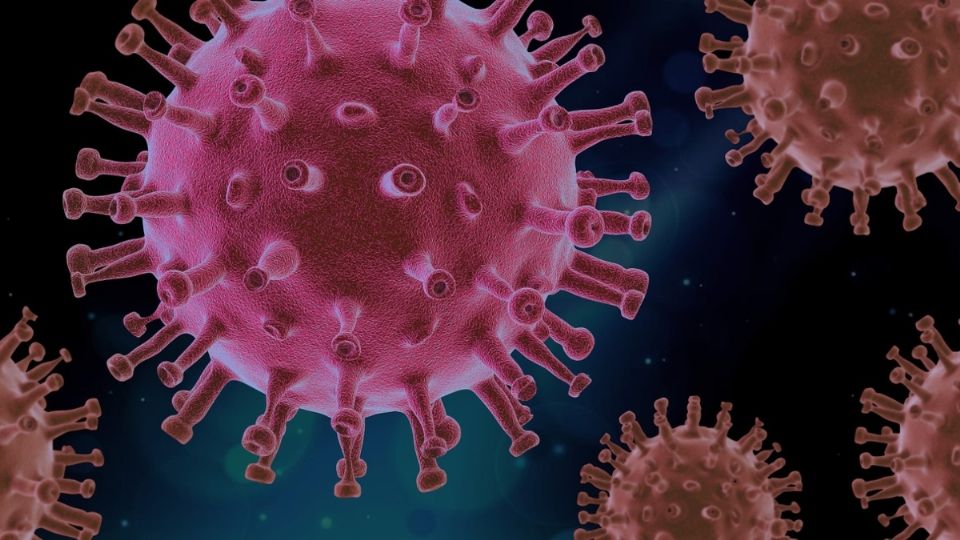 Los académicos buscan la mejor manera de parar al virus