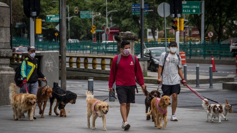 Una edad temprana brinda además la posibilidad de poder hacer crecer el ahorro. FOTO: Cuartoscuro