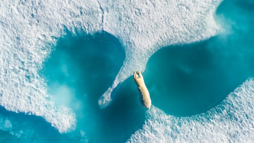 Estas son las mejores fotografías del océano tomadas en 2020