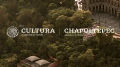 Más de cien proyectos concursan para diseñar jardín en Chapultepec