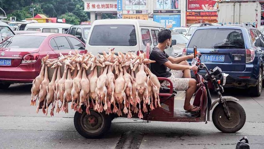 Pese a ser el origen del Covid-19, mercado de Wuhan sigue operando sin medidas sanitarias