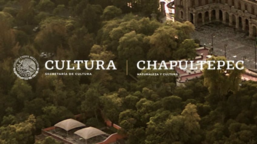 Más de cien proyectos concursan para diseñar jardín en Chapultepec