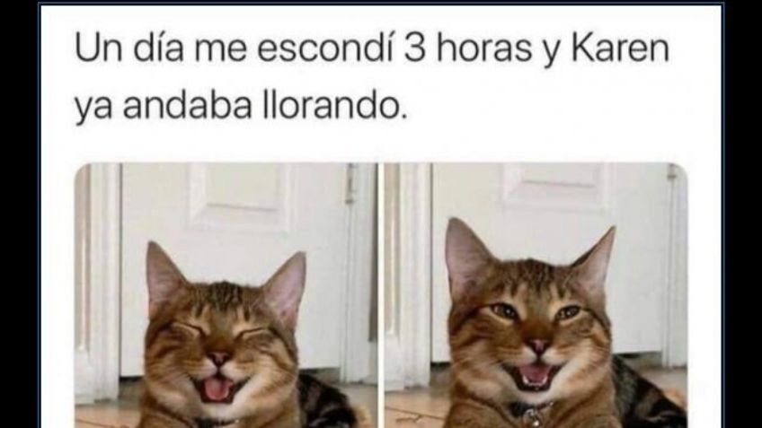 Esta es la conmovedora historia, detrás de 'Karen' y los memes de los gatos