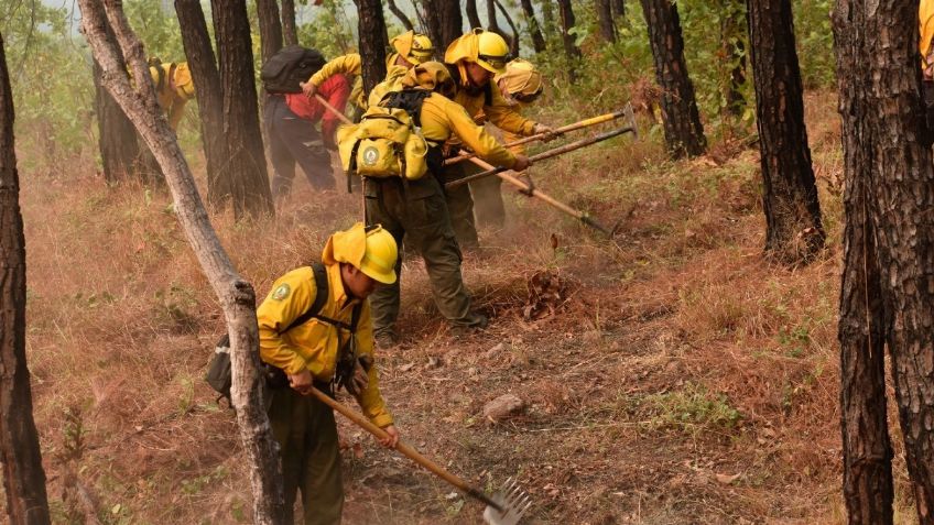 Agoniza medio ambiente por recorte