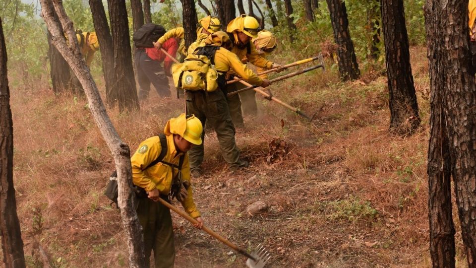 ÁREA DE DAÑOS. Reportan 5 mil 473 incendios forestales, en el primer trimestre de 2020. Foto: Archivo/ CUARTOSCURO