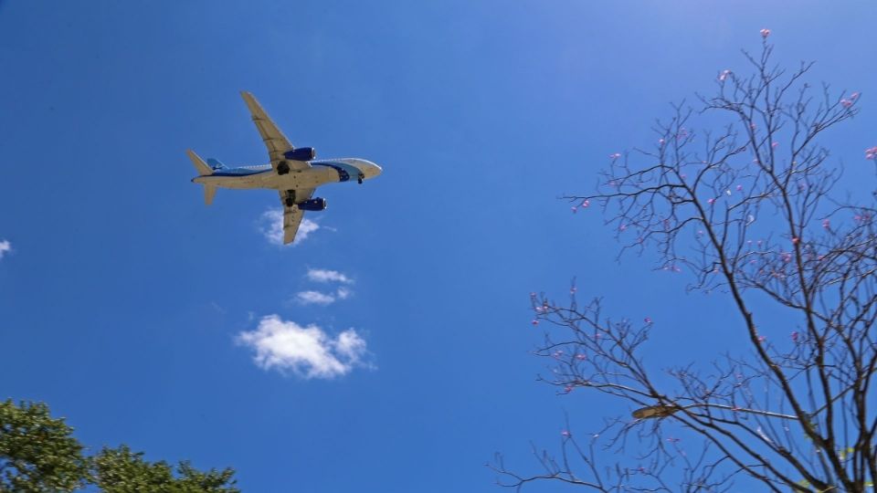 La aerolínea reanudará sus operaciones de forma regular este martes 3 de noviembre y lamenta las afectaciones causadas a los usuarios.