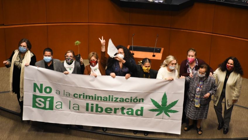 Esto es lo que tienes que saber sobre la despenalización de la marihuana en México