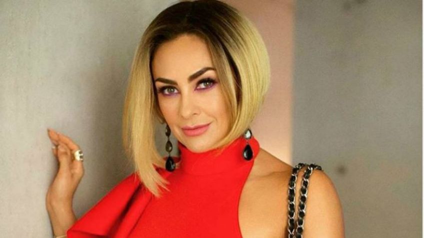 Aracely Arámbula LEVANTA SUSPIROS al posar de esta manera: FOTO