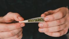 Legalizarla marihuana y no exportarla es como darse un “balazo en el pie”, asegura el CMCC