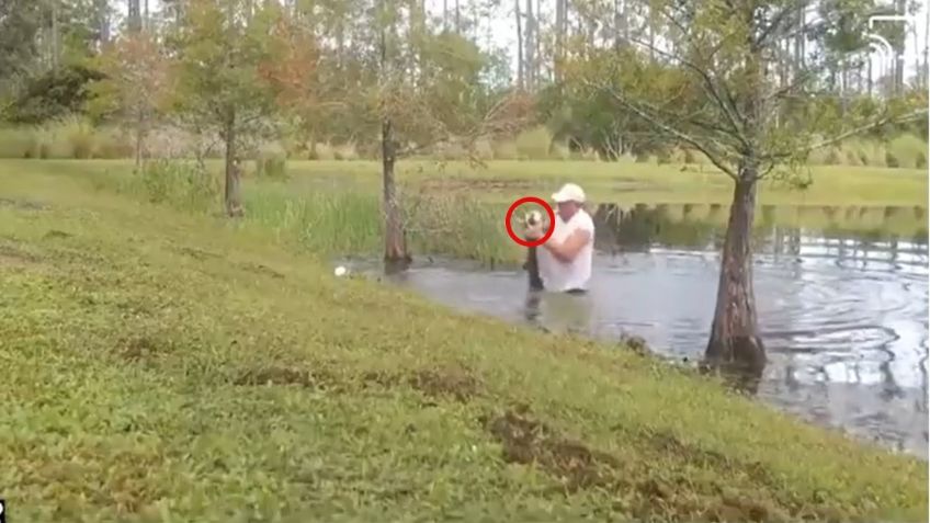 VIDEO VIRAL: Para rescatar a cachorrito, hombre se lanza al agua y lucha contra caimán