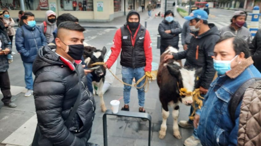 Protestan productores agrícolas en alrededores del Zócalo de la CDMX