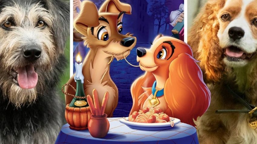 Disney Plus: ¿Live action o versión original? Descubre las pelis 'dobles' que tiene el catálogo de streaming