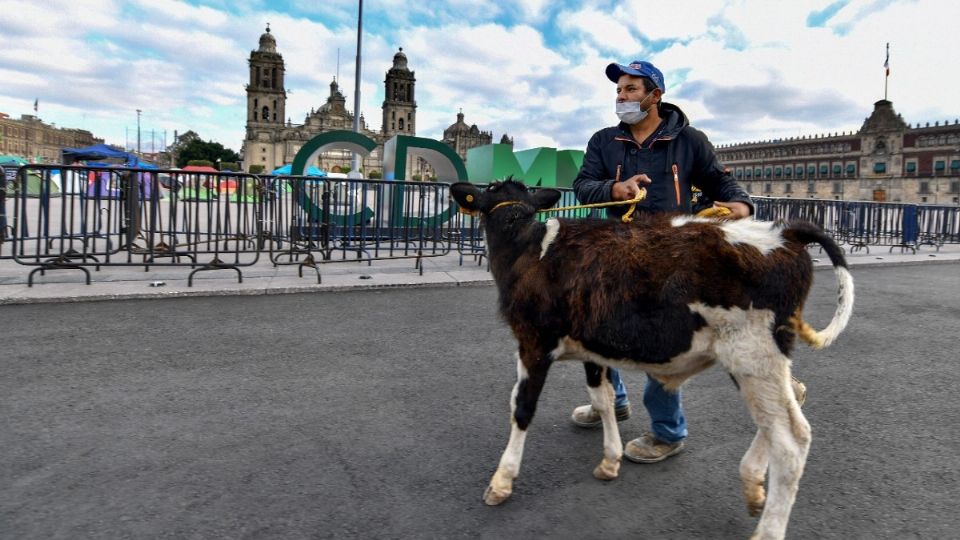 GOLPE. Ganaderos acusaron estragos al sector por la eliminación de programas.  FOTO: GUILLERMO O'GAM