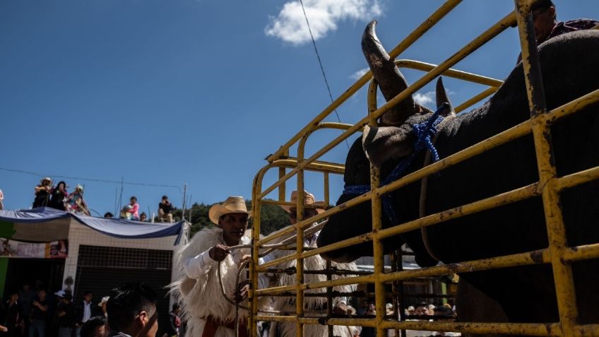 SCJN establece que niños pueden acudir a corridas de toros 