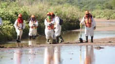 Tomas domésticas de agua del Río Sonora están contaminadas