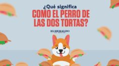 Como el perro de las dos tortas: ¿Qué quiere decir esta frase mexicana?