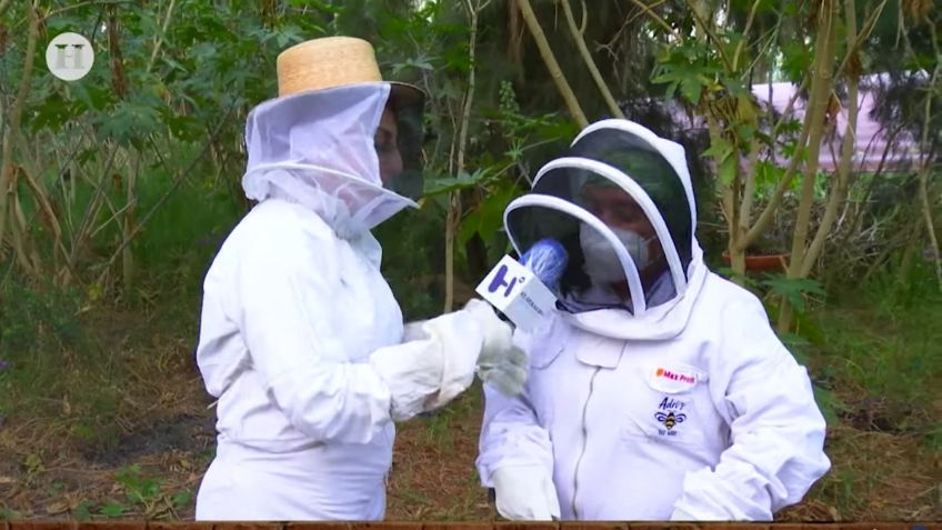 ¿La pica una abeja? Fernanda Tapia extrae miel de apiario en Xochimilco