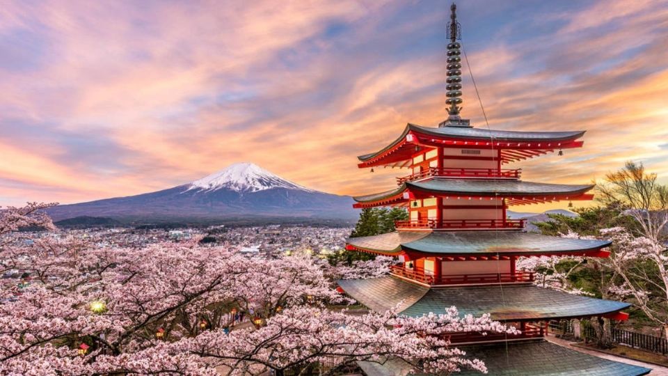 Un total de 68 mil 710 personas acudieron el pasado enero al palacio imperial de la capital japonesa Foto: Especial